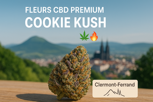 Fleurs-CBD-Premium-Cookie-Kush-à-Clermont-Ferrand Golden King