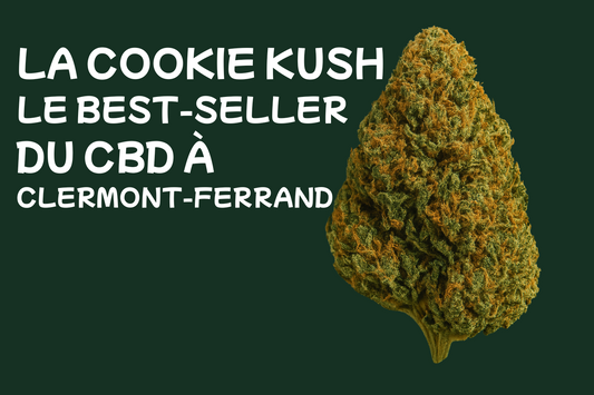 La-Cookie-Kush-Le-Best-Seller-du-CBD-à-Clermont-Ferrand Golden King