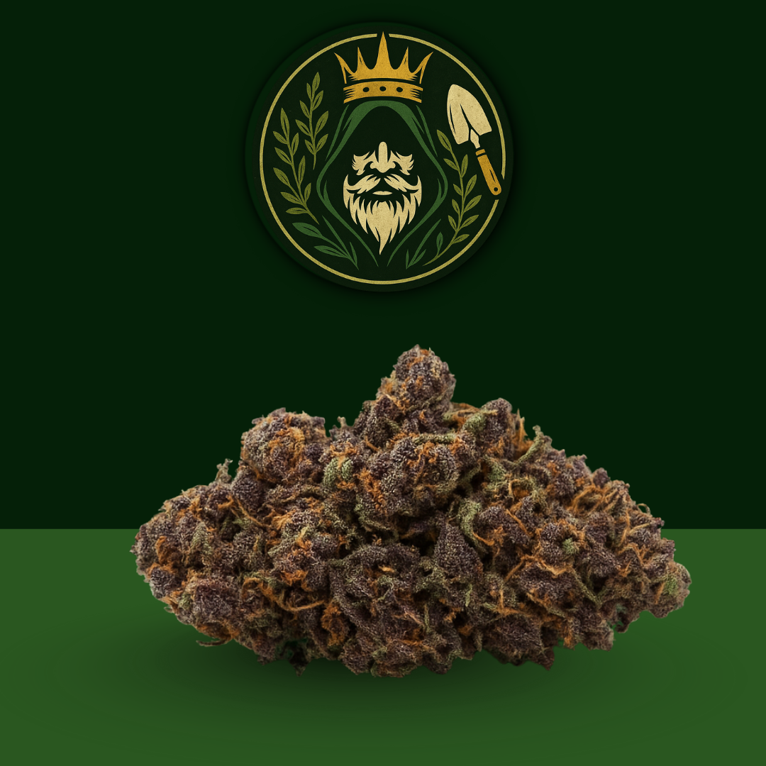 CBD - Purple Haze 🔮