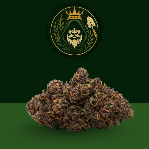 Purple Haze 🔮 Golden King