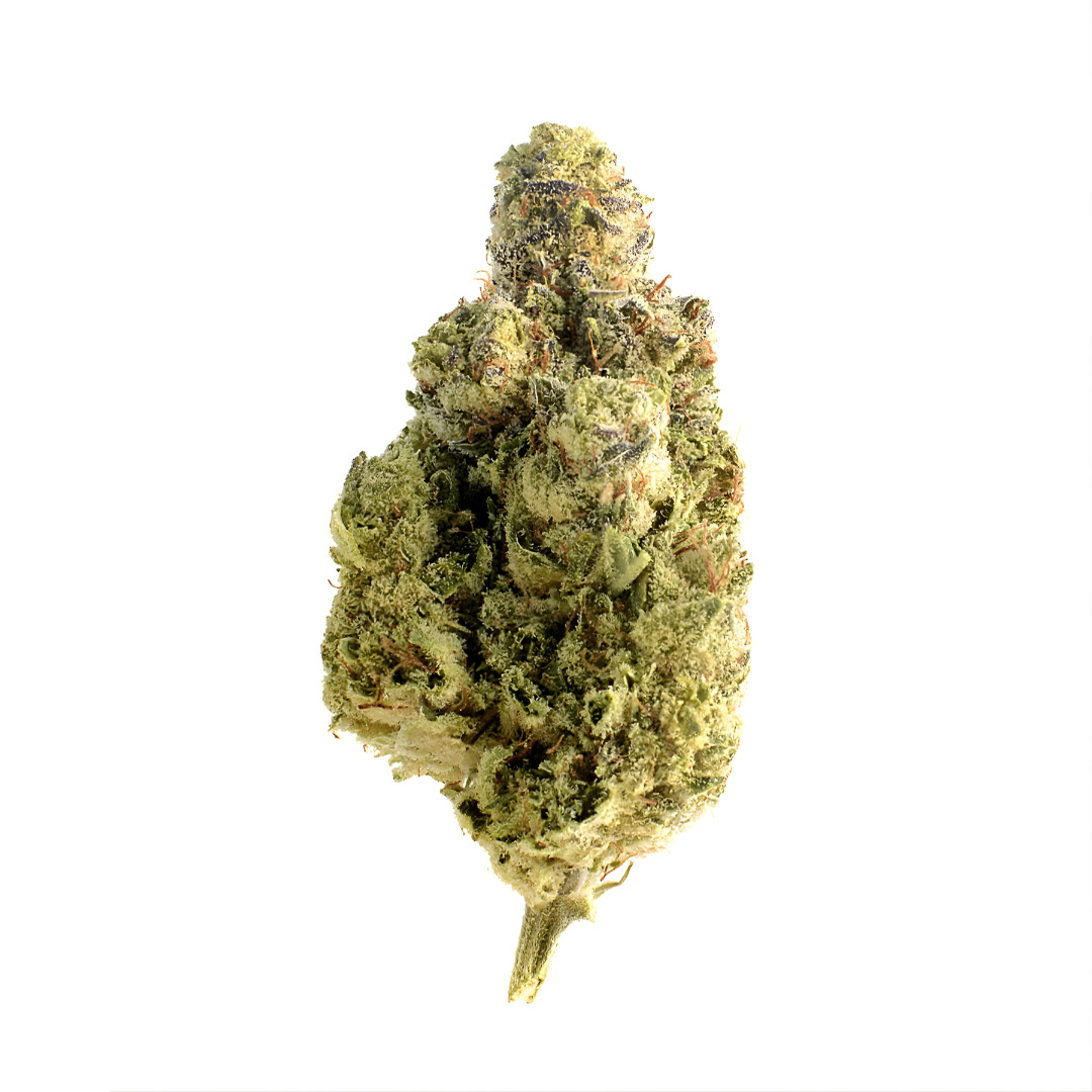 Super Kush Golden King