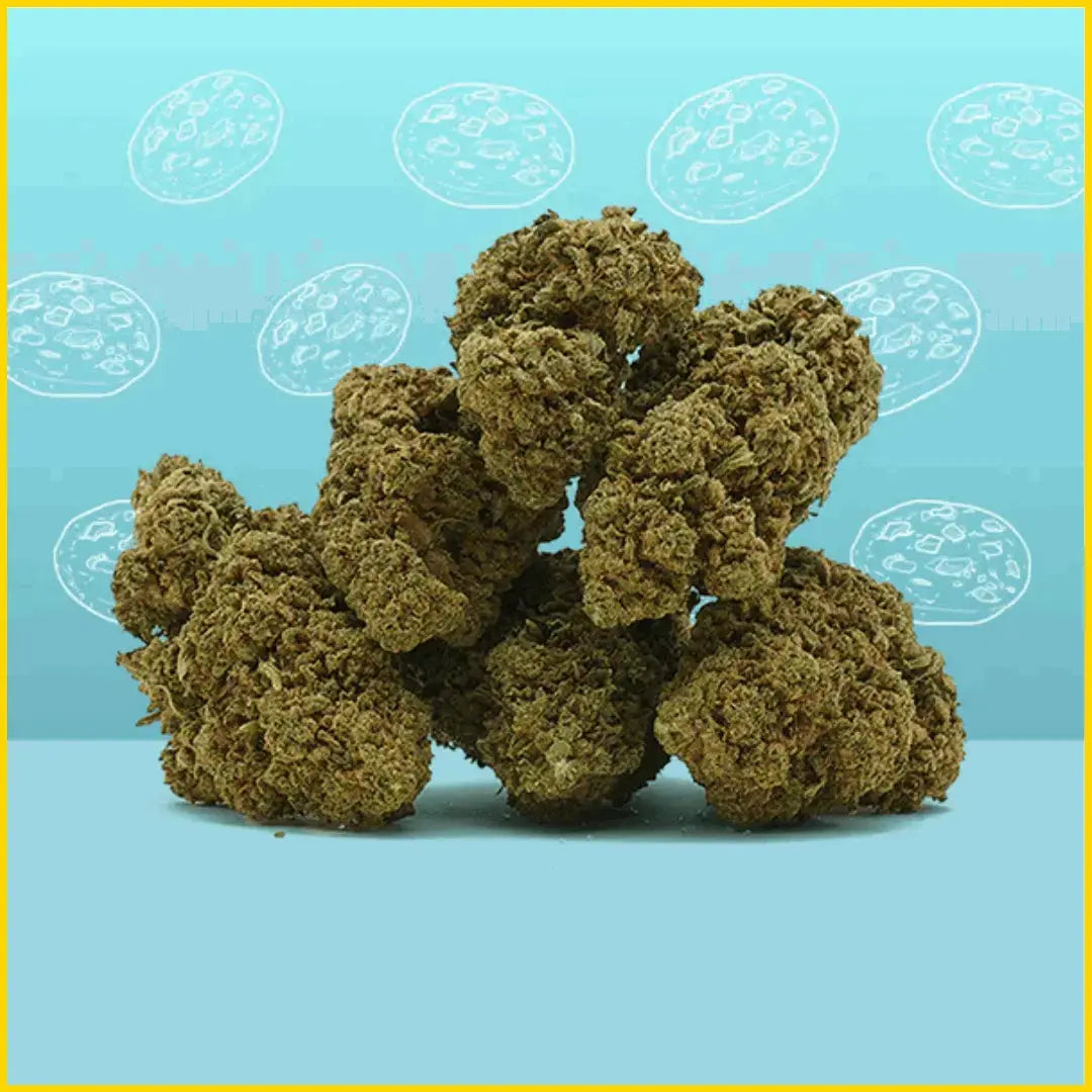 CBD Cookie Kush, une fleur gourmande aux effets relaxants, disponible sur goldenking.fr