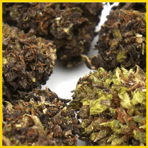 Détail de la fleur CBD Purple Haze, idéale pour une relaxation profonde et des arômes délicieux, disponible sur goldenking.fr