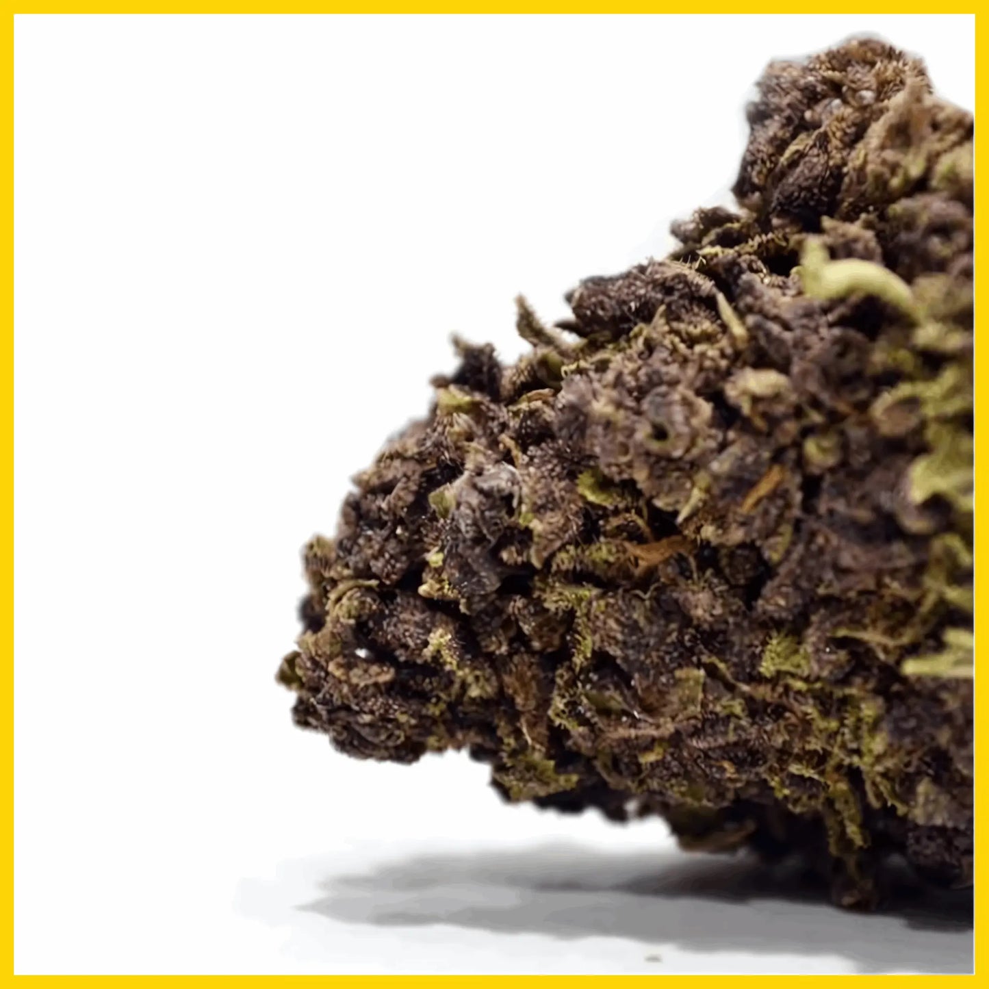 Zoom sur la fleur CBD Purple Haze, avec des arômes riches et des effets relaxants intenses, disponible sur goldenking.fr
