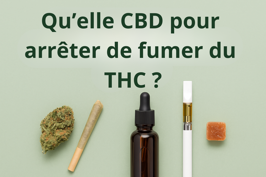 Quel-CBD-pour-arrêter-de-fumer-du-THC Golden King