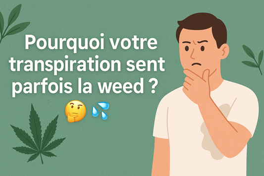 Pourquoi-ta-transpiration-sent-parfois-la-weed-ou-beuh-Explications-solutions-CBD Golden King
