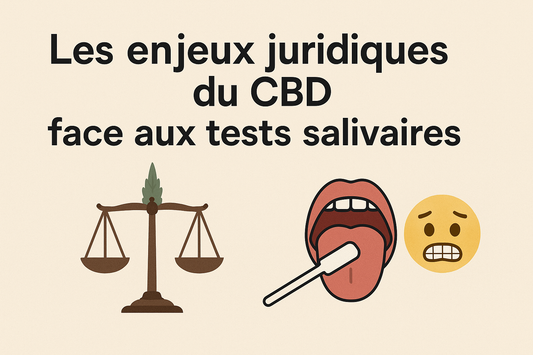 Les enjeux juridiques du CBD face aux tests salivaires 😬