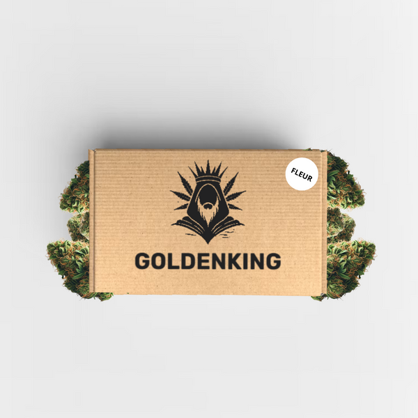 Packs découverte