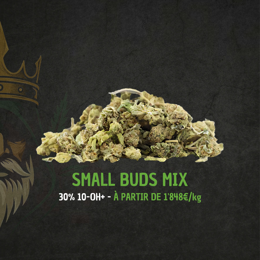 Small Buds MIX Golden King