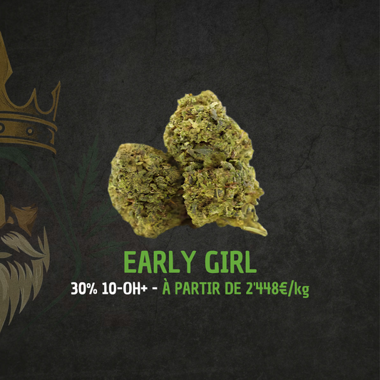 EARLY GIRL Golden King