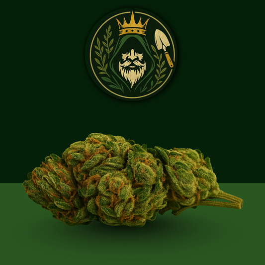 CBD - Harlequin 🤡