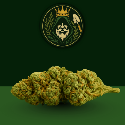 CBD - Lemon Haze 🍋