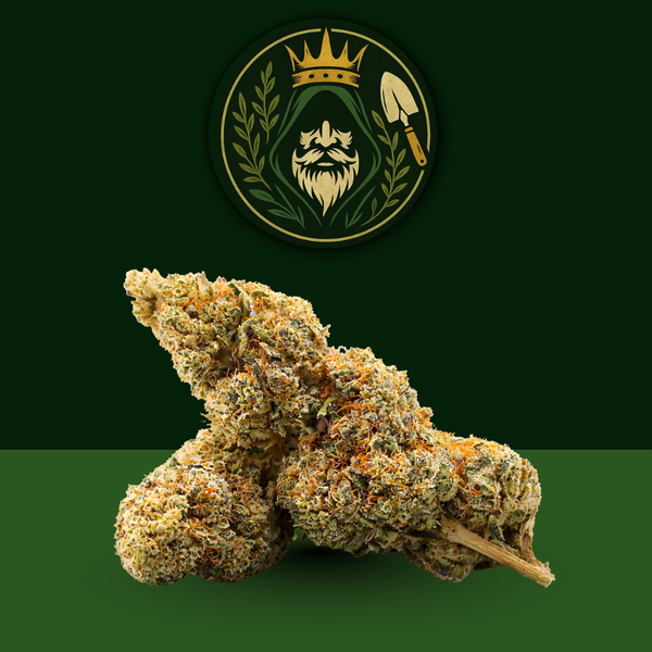 Fleur CBD Limoncello premium Golden King - arôme citron