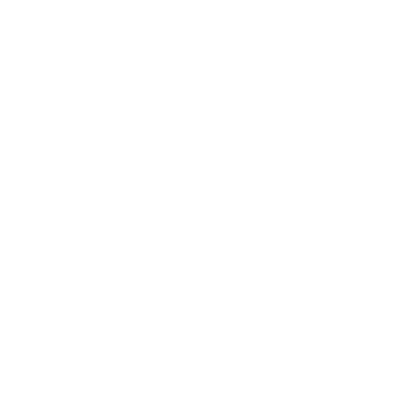 Logo-goldenking.fr