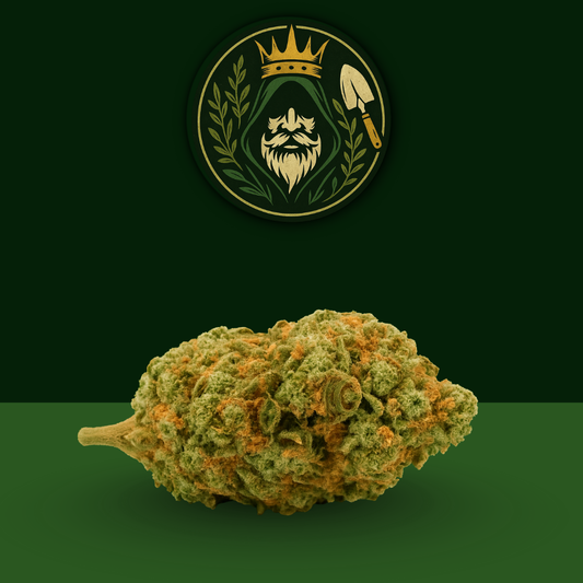 CBD - Orange Bud 🍊