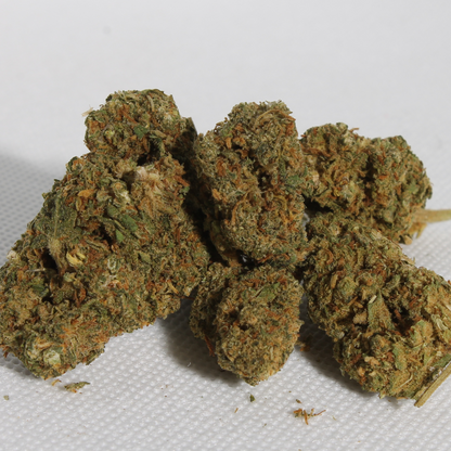 Orange Bud 🍊 Golden King