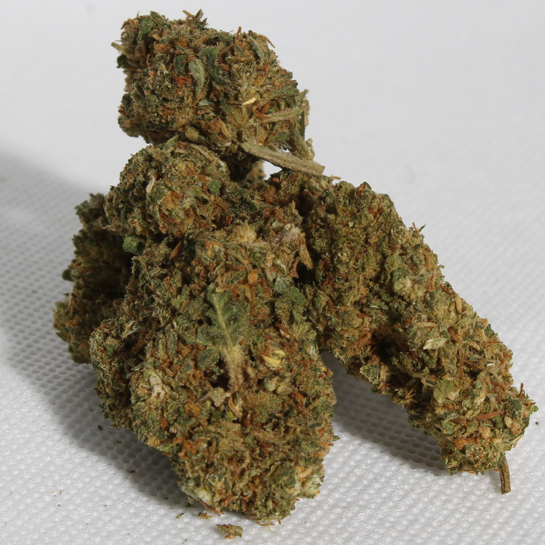 Orange Bud 🍊 Golden King