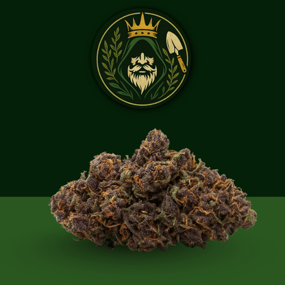 CBD - Purple Haze 🔮