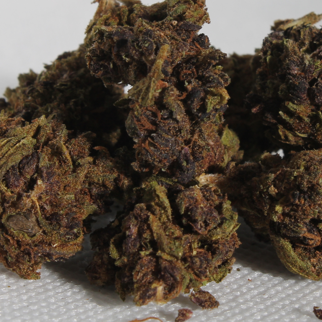 Purple Haze 🔮 Golden King