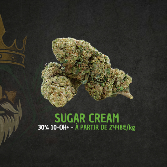 Sugar Cream Golden King