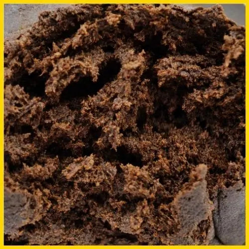 Zoom sur la résine CBD 3X Filtré, pure et puissante, offrant des arômes et effets relaxants, disponible sur goldenking.fr