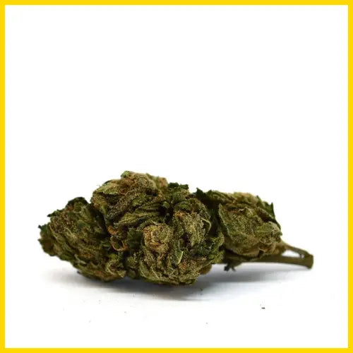 Fleur CBD Harlequin, qualité premium avec des arômes délicats et des effets relaxants, disponible sur goldenking.fr.