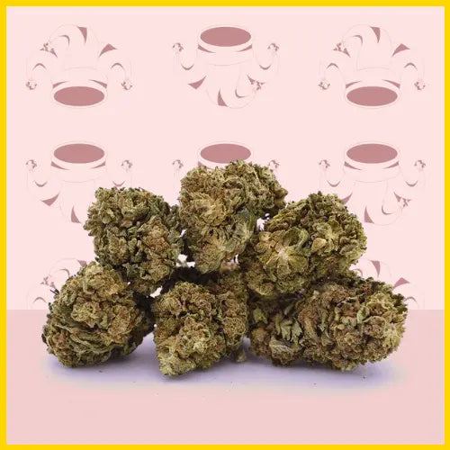 CBD Harlequin, une fleur aux arômes délicats et aux effets apaisants, disponible sur goldenking.fr