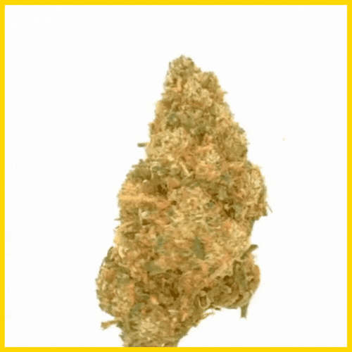 GIF CBD Orange Bud, une fleur relaxante aux arômes fruités et apaisants, disponible sur goldenking.fr