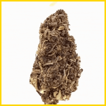 GIF CBD Purple Haze, effet relaxant avec une expérience visuelle immersive, disponible sur goldenking.fr