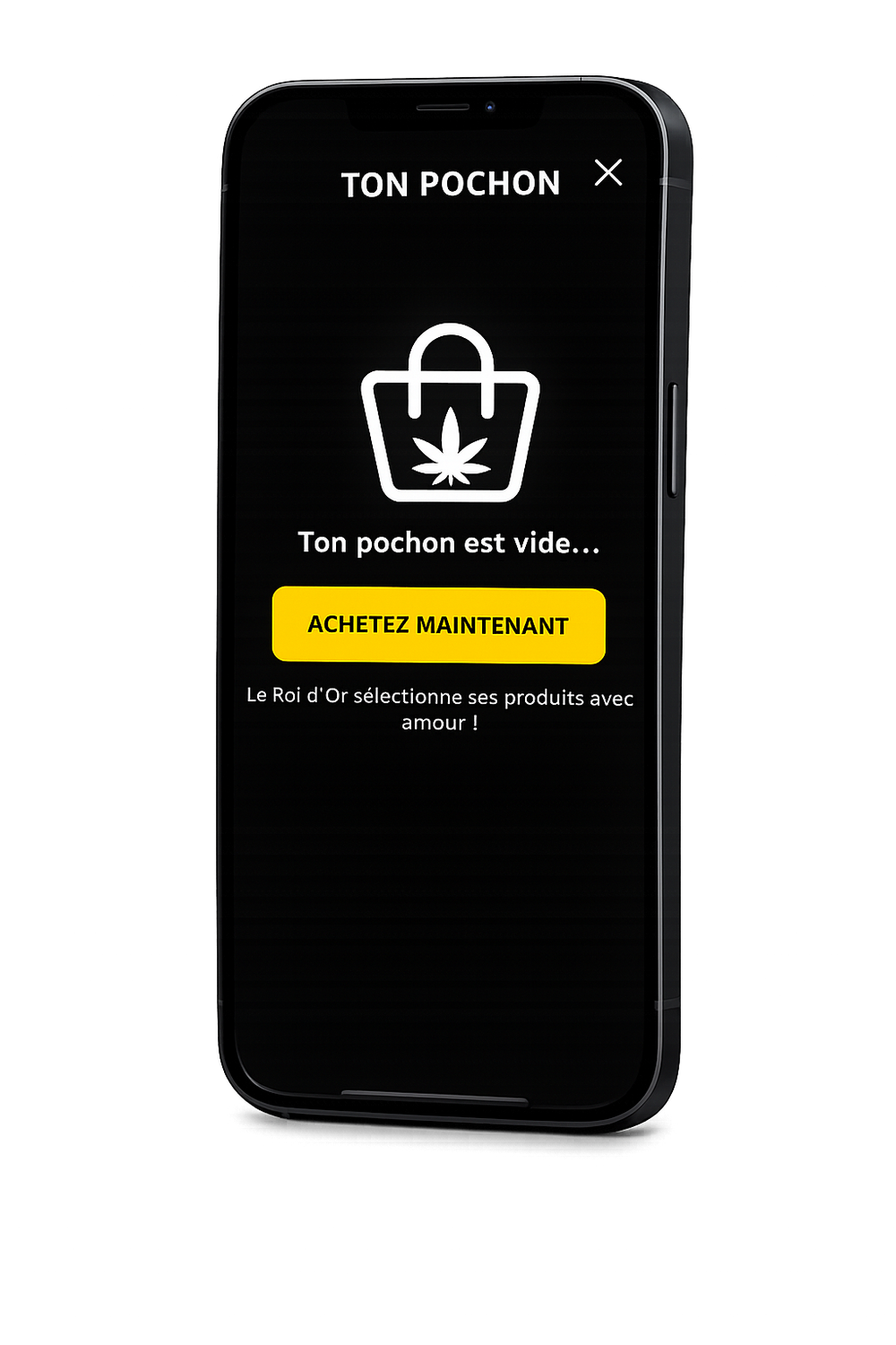 Application Golden King - Panier